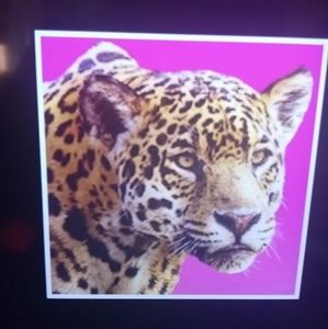 Meet your Posher, Margaret